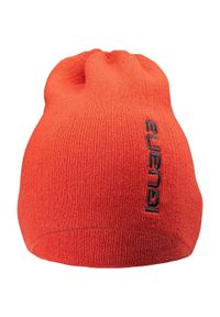 Czapka zimowa męska Iguana Aspar. Kolor: pomarańczowy. Sezon: zima #1