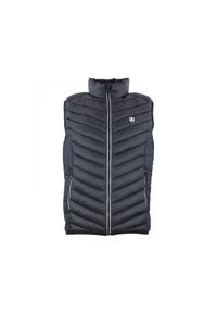 PEAK MOUNTAIN - Cienka kurtka puchowa bez rękawów Peak Mountain. Typ kołnierza: kołnierzyk stójkowy. Kolor: czarny. Materiał: puch. Długość rękawa: bez rękawów. Sport: turystyka piesza #1