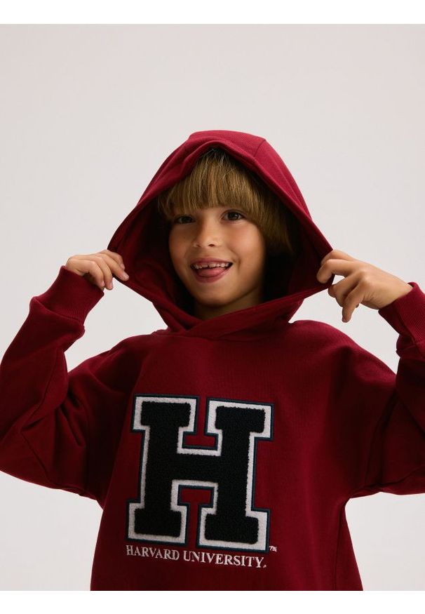 Reserved - Bluza Harvard - intenstywna czerwień. Kolor: czerwony. Materiał: bawełna, dzianina