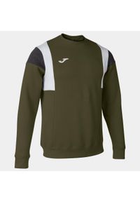 Bluza sportowa męska Joma Confort. Kolor: zielony. Styl: sportowy