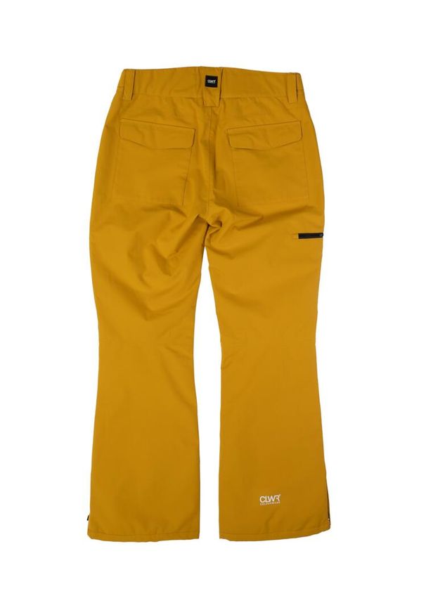 Spodnie narciarskie męskie Colourwear Sharp. Kolor: żółty. Sport: narciarstwo