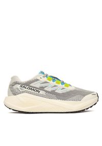 salomon - Buty do biegania Salomon. Kolor: szary #1