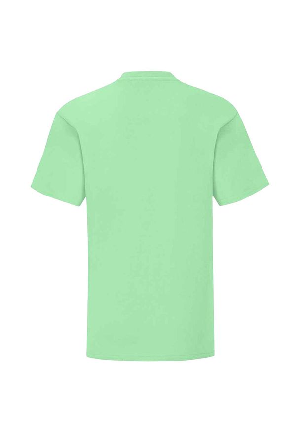 FRUIT OF THE LOOM - Kultowa Koszulka Dziecięca / Dziecięca. Kolor: zielony