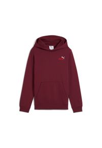 Bluza z kapturem dla dzieci Puma Essentials 2. Typ kołnierza: kaptur. Kolor: czerwony, wielokolorowy, brązowy #1