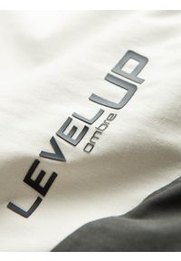 Ombre Clothing - T-shirt męski bawełniany trójkolorowy z logo - czarno-grafitowy V2 S1747 - XXL. Kolor: czarny. Materiał: bawełna. Długość rękawa: krótki rękaw. Długość: krótkie. Wzór: nadruk, geometria. Styl: klasyczny #4