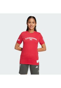 Adidas - Koszulka dla dzieci Liverpool FC US Pack. Kolor: czerwony. Sport: piłka nożna