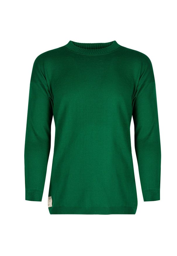 Takeshy Kurosawa Sweter | 83072 | Maglia F12 Taglio Over | Mężczyzna | Zielony. Okazja: na co dzień. Kolor: zielony. Materiał: wełna, akryl. Wzór: aplikacja. Styl: casual