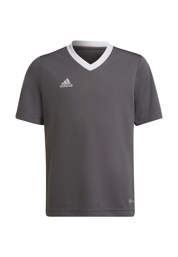 Adidas - Koszulka piłkarska dla dzieci adidas Entrada 22 Jersey. Kolor: szary. Materiał: jersey. Sport: piłka nożna