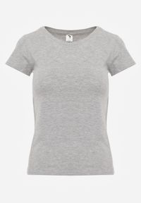 Renee - Jasnoszary T-shirt Ariema. Kolor: szary. Materiał: dzianina. Długość rękawa: krótki rękaw. Długość: krótkie. Wzór: gładki #2