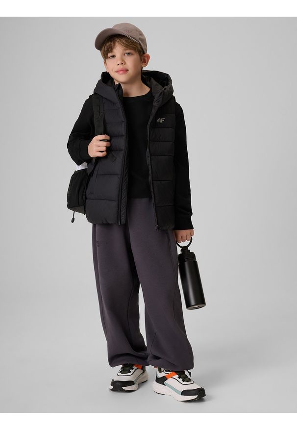 4f - 4F Bezrękawnik z wypełnieniem syntetycznym chłopięcy - czarny 146 (10-11 lat). Okazja: na spacer, na co dzień, na uczelnię. Typ kołnierza: kołnierzyk stójkowy. Kolor: czarny. Materiał: syntetyk. Długość rękawa: bez rękawów. Sezon: lato. Styl: casual