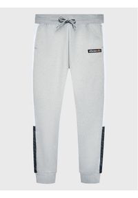 Ellesse Spodnie dresowe Bandina S3P16189 Szary Regular Fit. Kolor: szary. Materiał: syntetyk #1