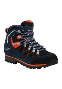 Buty trekkingowe męskie Kayland Plume Micro GTX. Kolor: niebieski. Sport: turystyka piesza