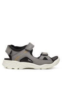 ecco - Sandały ECCO. Kolor: szary #1