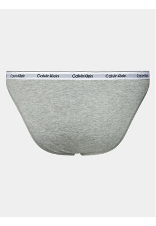 Calvin Klein Underwear Figi klasyczne 000QD5044E Szary. Kolor: szary. Materiał: bawełna