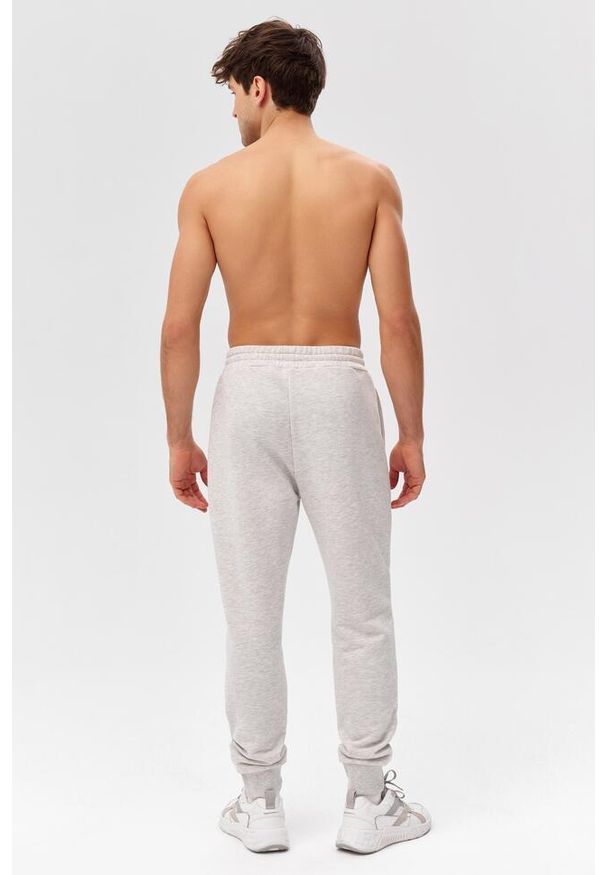 ROUGH RADICAL - Męskie spodnie dresowe sportowe Rough Radical Cotton Active Joggers. Kolor: szary. Materiał: dresówka