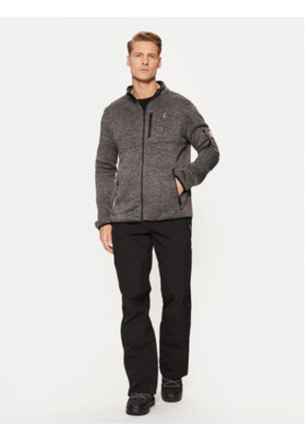 Aulp Bluza techniczna Navoy Szary Regular Fit. Kolor: szary. Materiał: syntetyk