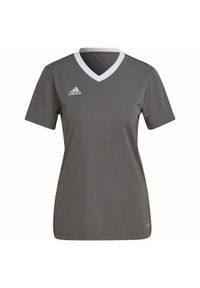 Koszulka piłkarska damska Adidas Entrada 22 Jersey. Kolor: szary. Materiał: jersey. Sport: piłka nożna #1