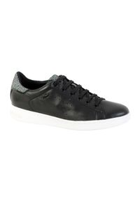 Trenerzy damscy Geox Jaysen Nap+Prin.Goa.Sue. Kolor: czarny