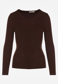 Renee - Brązowy Sweter z Bawełną z Prążkowanej Dzianiny Reisaria. Okazja: na co dzień. Kolor: brązowy. Materiał: prążkowany, dzianina, bawełna. Styl: casual, klasyczny #6