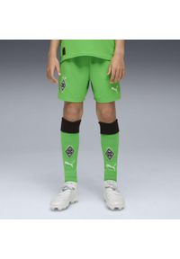 Puma - Młodzieżowe skarpety Borussia Mönchengladbach 25/26 PUMA Green Warm White. Kolor: zielony, biały, wielokolorowy. Materiał: tkanina. Sport: piłka nożna