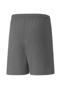Spodenki Puma teamRise Short Jr 704943 13. Kolor: szary, biały, wielokolorowy. Sezon: lato. Sport: fitness, piłka nożna