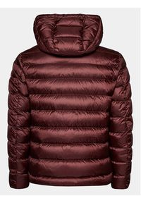 Blauer Kurtka puchowa 23WBLUC03075 Brązowy Regular Fit. Kolor: brązowy. Materiał: syntetyk, puch