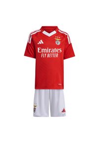 Adidas - Dziecięcy zestaw koszulka domowa i spodenki Benfica Lisbonne 2024/25. Okazja: do domu. Kolor: czerwony. Styl: młodzieżowy #1