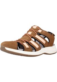 Clarks - Sandały CLARKS SOLAN SAIL COMBI Brązowy. Kolor: brązowy. Materiał: tkanina, skóra. Sezon: lato