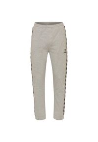 Spodnie dziecięce Hummel Lmove Classics. Okazja: na co dzień. Kolor: szary. Styl: casual