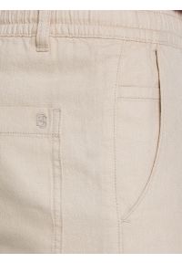 Big-Star - Spodnie męskie lniane perłowe Cabres 103. Kolor: kremowy. Materiał: len. Wzór: haft. Styl: klasyczny #6