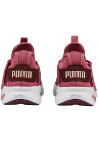 Buty Puma Softride Enzo Evo W 377048 05 wielokolorowe różowe. Kolor: różowy, wielokolorowy. Materiał: guma. Szerokość cholewki: normalna. Model: Puma Evo #3