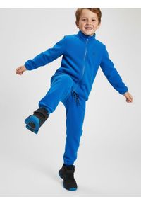 Sinsay - Polarowe spodnie sportowe Active - niebieski. Kolor: niebieski. Materiał: polar. Styl: sportowy #1