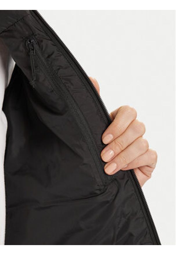 The North Face Bezrękawnik Terra Peak NF0A8DEG Czarny Regular Fit. Kolor: czarny. Materiał: syntetyk. Długość rękawa: bez rękawów