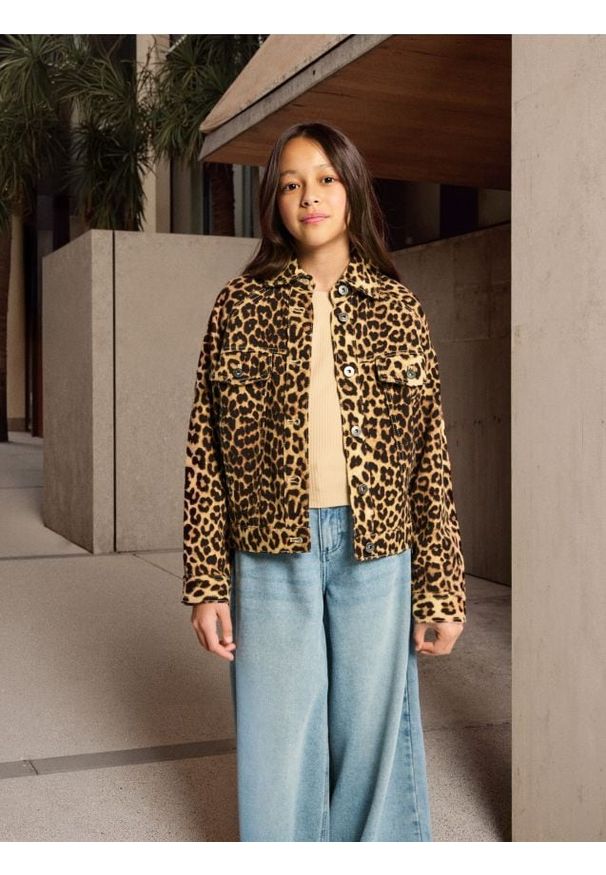 Sinsay - Katana w zwierzęcy wzór - wielobarwny. Wzór: motyw zwierzęcy