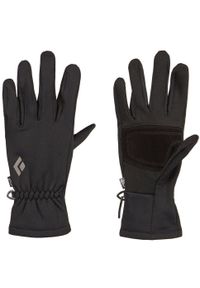 Rękawice turystyczne unisex Black Diamond Lightweight Screentap. Kolor: czarny. Sport: turystyka piesza