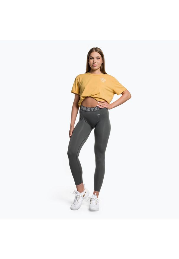 GYMSHARK - Legginsy treningowe damskie Gymshark Fit. Kolor: szary. Sport: fitness