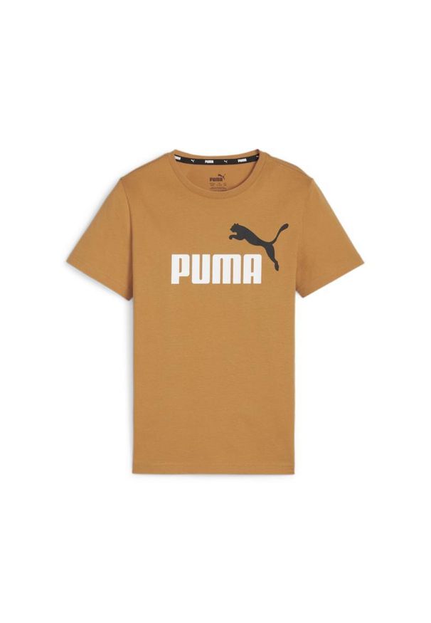 Koszulka Dziecięca Puma Ess+2 Col Logo Tee. Kolor: pomarańczowy. Materiał: bawełna. Wzór: kolorowy