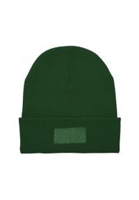 STAMINA - Bulnes Beanie. Kolor: zielony