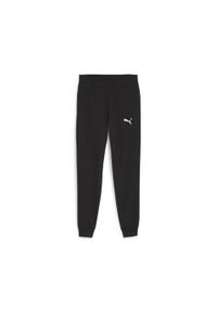 Spodnie dresowe Puma TeamFinal. Kolor: czarny. Materiał: bawełna, syntetyk, materiał. Sport: piłka nożna, bieganie