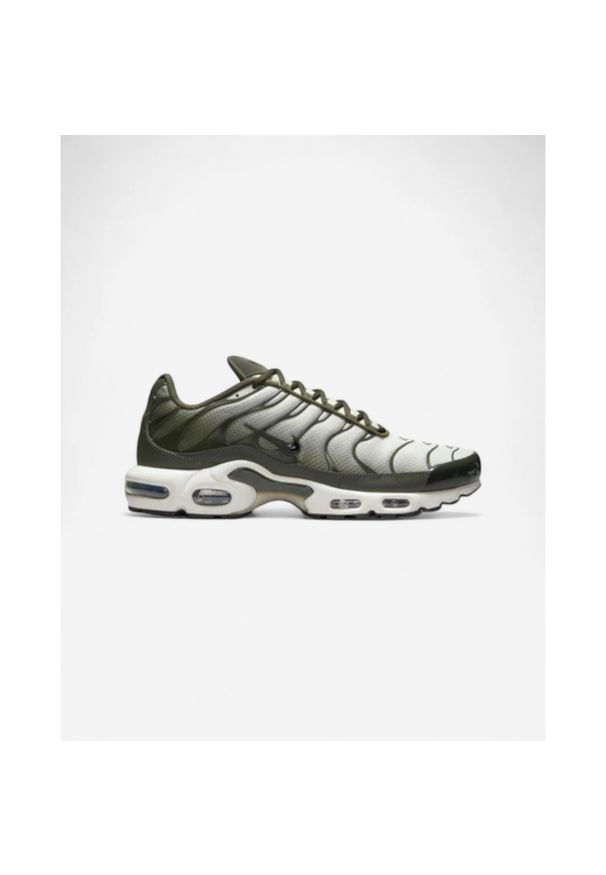 Nike Air Max Plus Sequoia Cargo Khaki. Kolor: zielony. Model: Nike Air Max. Sport: turystyka piesza