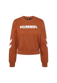 Bluza dla kobiet Hummel Legacy. Kolor: brązowy. Materiał: materiał, polar. Sport: fitness #1