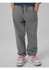4f - 4F Spodnie dresowe joggery chłopięce - szare 140 (9-10 lat). Okazja: na co dzień. Kolor: szary. Materiał: dresówka. Sezon: lato. Styl: casual #2