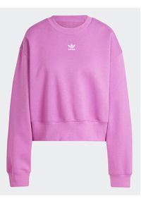 Adidas - adidas Bluza adicolor Essentials IR5975 Różowy Oversize. Kolor: różowy. Materiał: bawełna