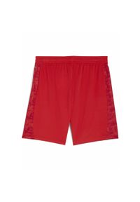 Puma - Męskie szorty FC St. Pauli 25/26 PUMA Burnt Red White. Kolor: biały, czerwony, wielokolorowy. Materiał: tkanina. Sport: piłka nożna, fitness