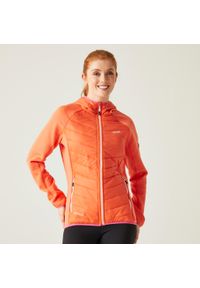 Kurtka turystyczna damska Regatta Andreson hybrydowa. Kolor: pomarańczowy. Materiał: puch. Sport: turystyka piesza #1