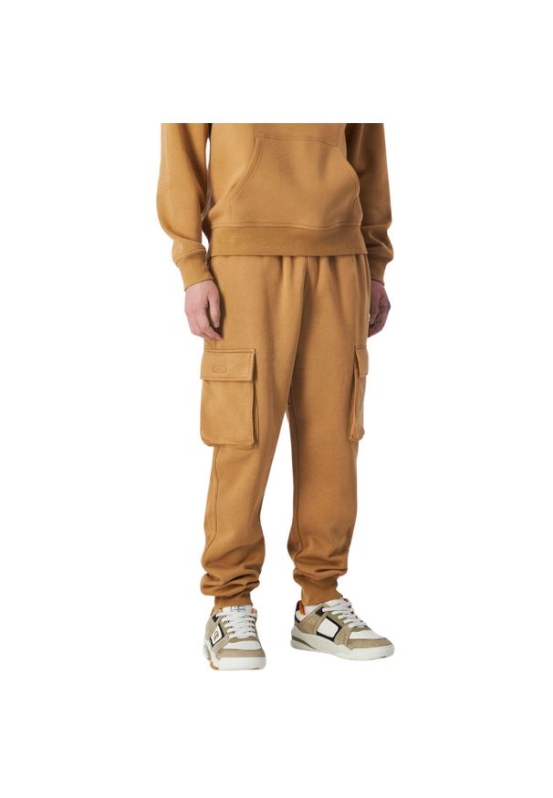 Spodnie męskie Champion Rib Cuff Cargo Pants. Kolor: brązowy, żółty, wielokolorowy