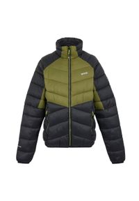 Kurtka puchowa Regatta Dalent. Kolor: czarny, zielony, wielokolorowy. Materiał: puch. Sport: turystyka piesza #1