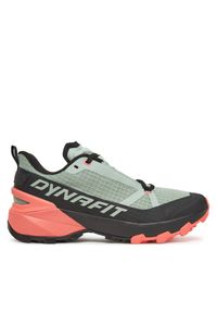 Buty do biegania Dynafit. Kolor: czarny
