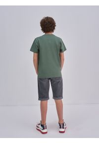 Big-Star - Szorty chłopięce jeansowe szare Ethan 891. Kolor: szary. Materiał: jeans. Długość: do kolan #3