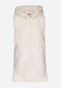 Born2be - Biała Futerkowa Kamizelka z Kapturem o Prostym Kroju Sinthira. Okazja: na co dzień. Typ kołnierza: kaptur. Kolor: biały. Materiał: jeans. Styl: casual, elegancki #5